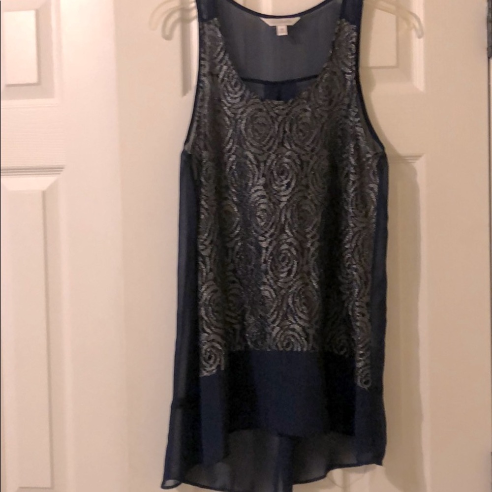 Blue and Silver Sheer Tank Top